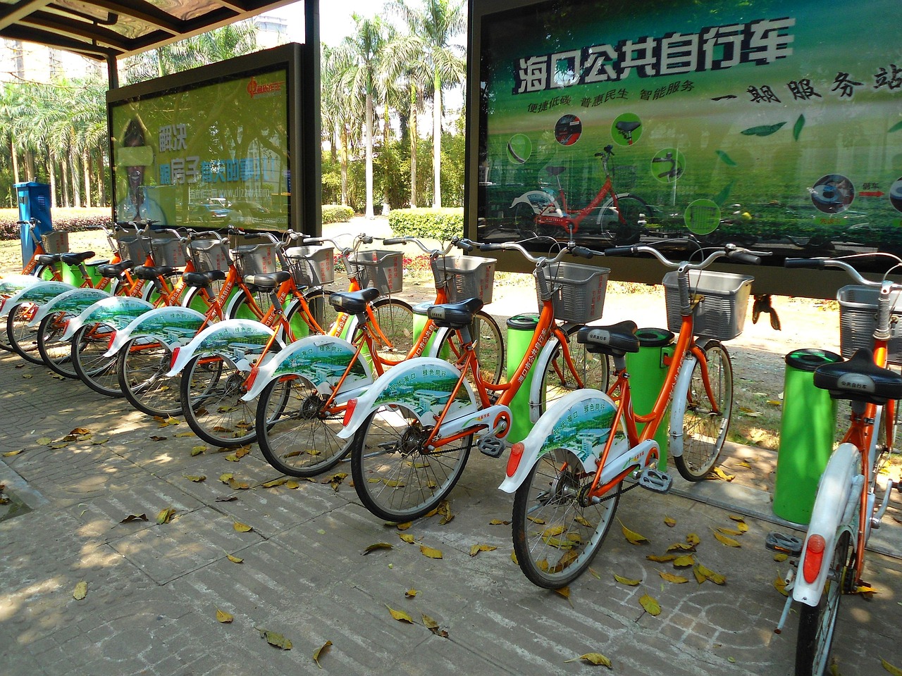探索新澳门正版免费资料车的未来之路，2024新澳门正版免费资料车展望