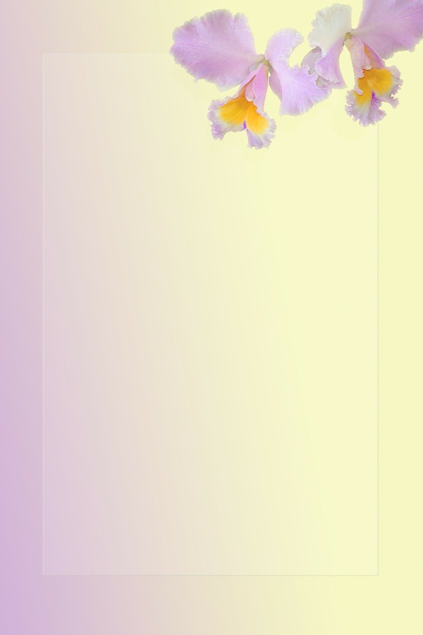 第355页